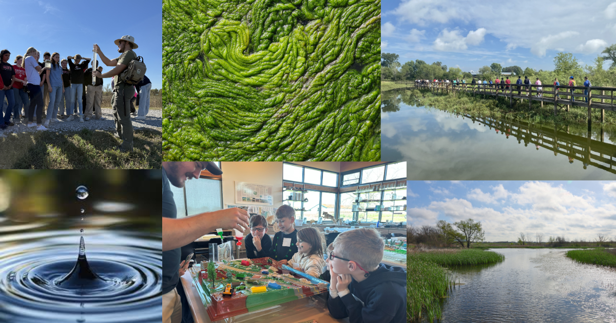 Campaign cover image for Summer Day Camp at the Wetland Center - Week 3