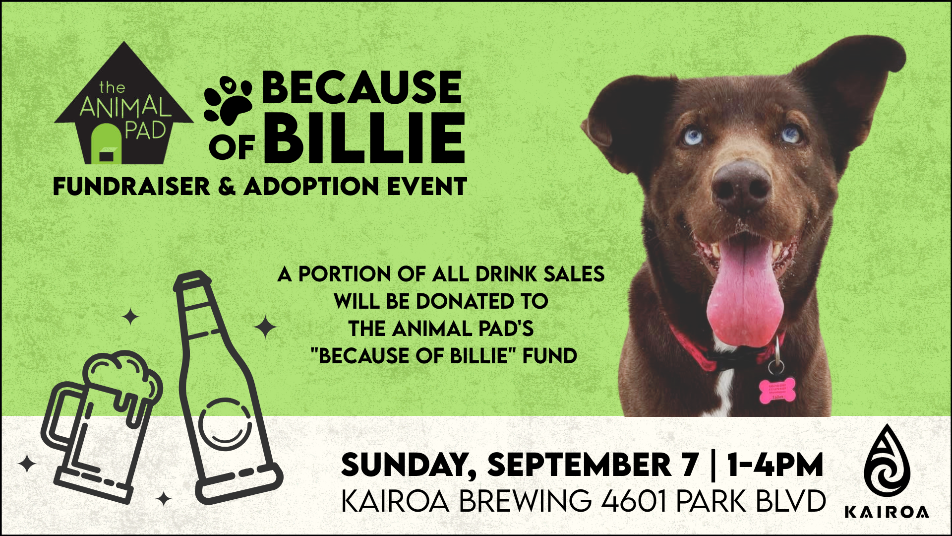 Campaign cover image for Because of Billie