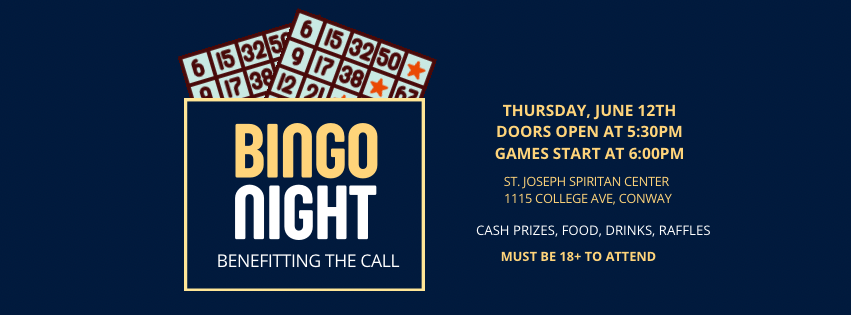 Campaign cover image for Bingo Night 2025