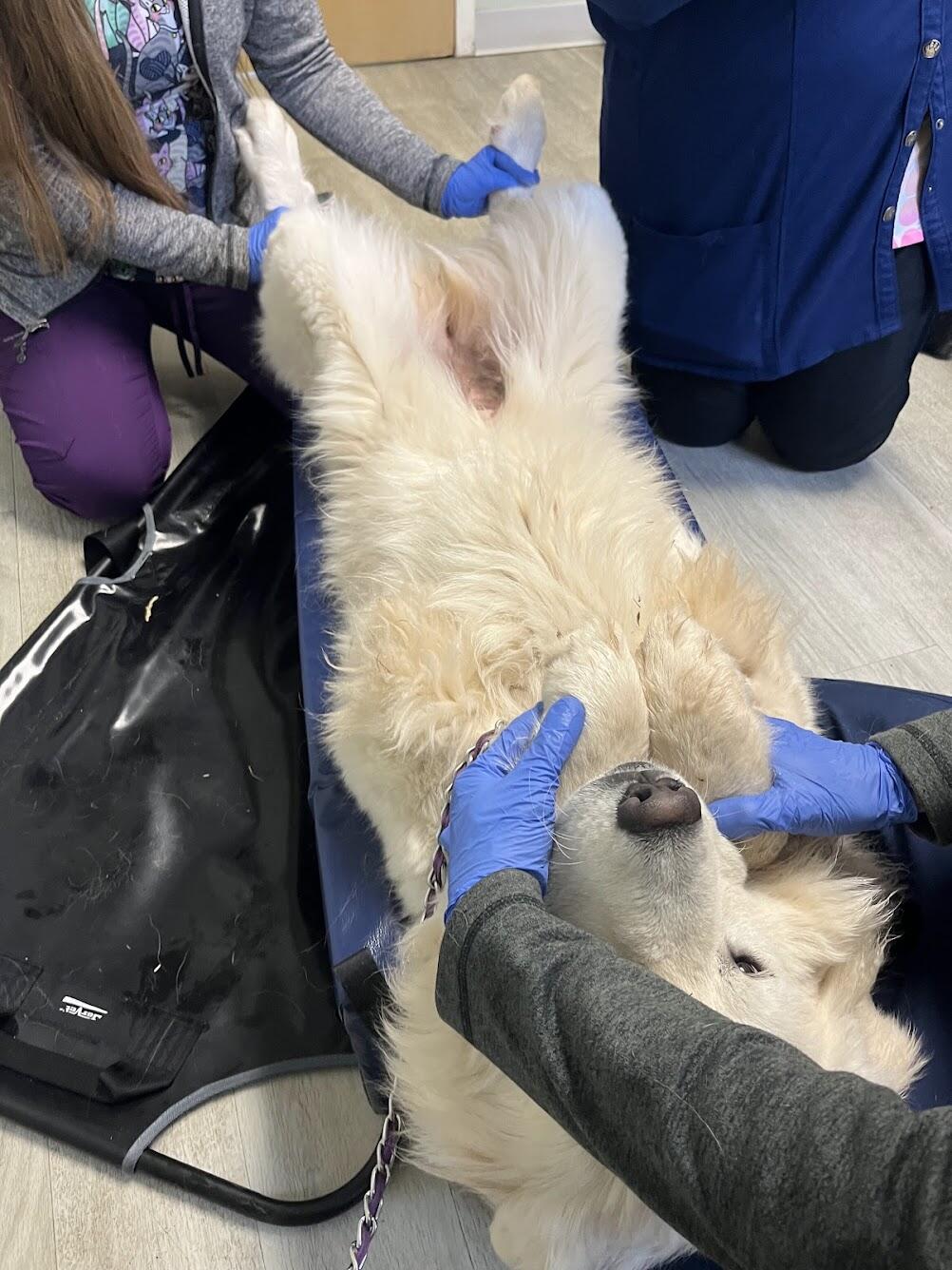 Campaign cover image for Miracle Maker