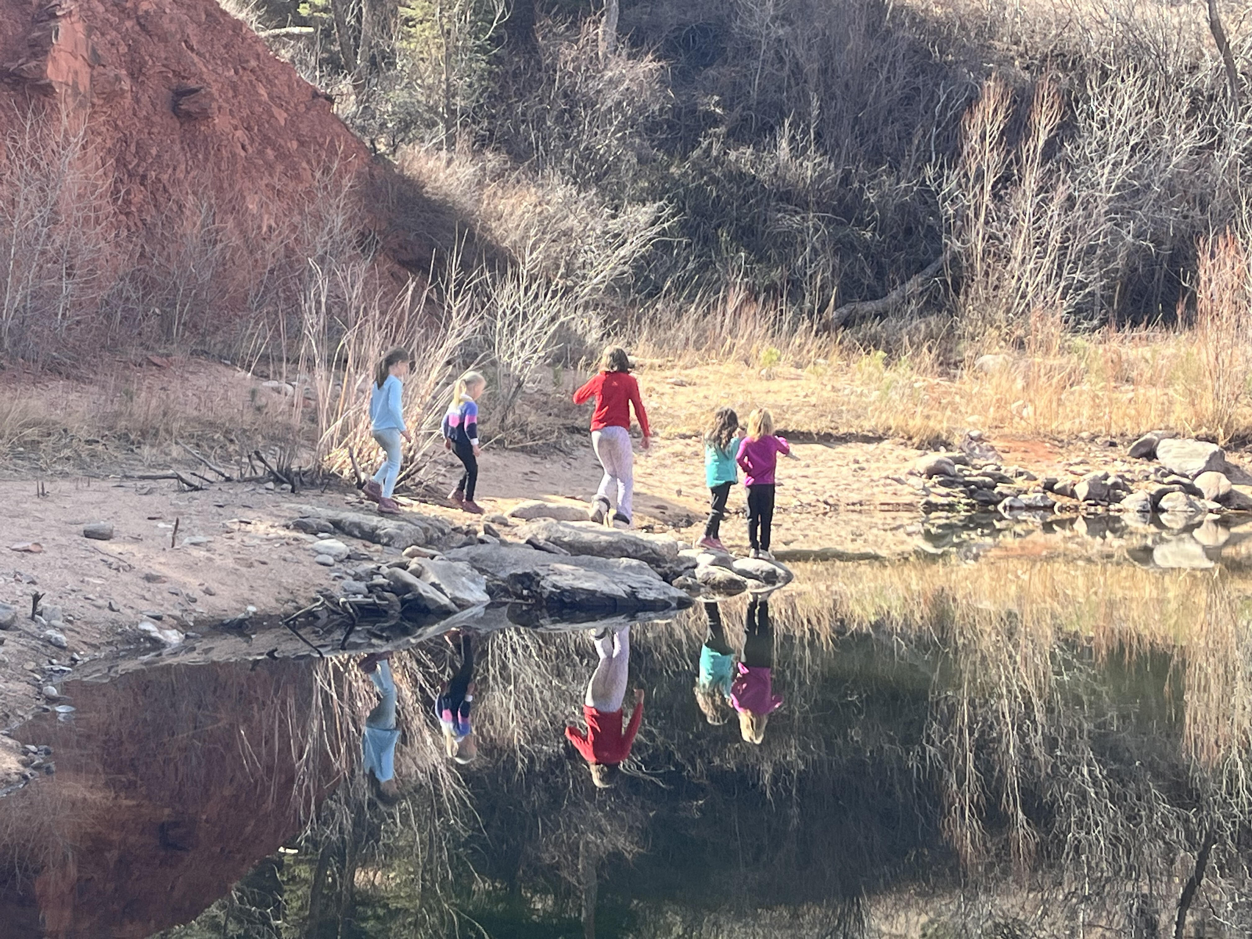 Campaign cover image for enchanted gala