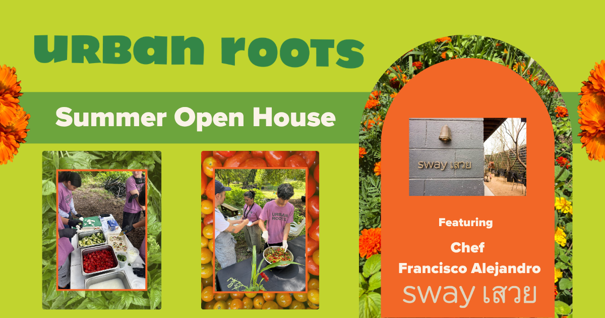 Campaign cover image for ☀️ Summer Open House with Chef Francisco Alejandro