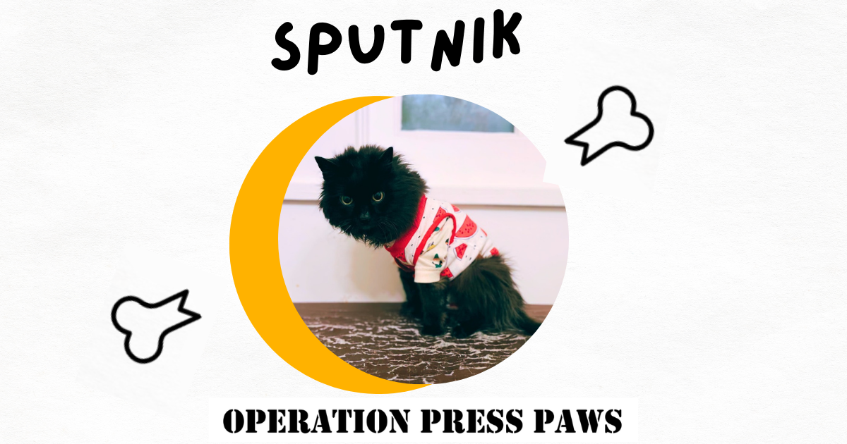 Campaign cover image for Surgery for Sputnik