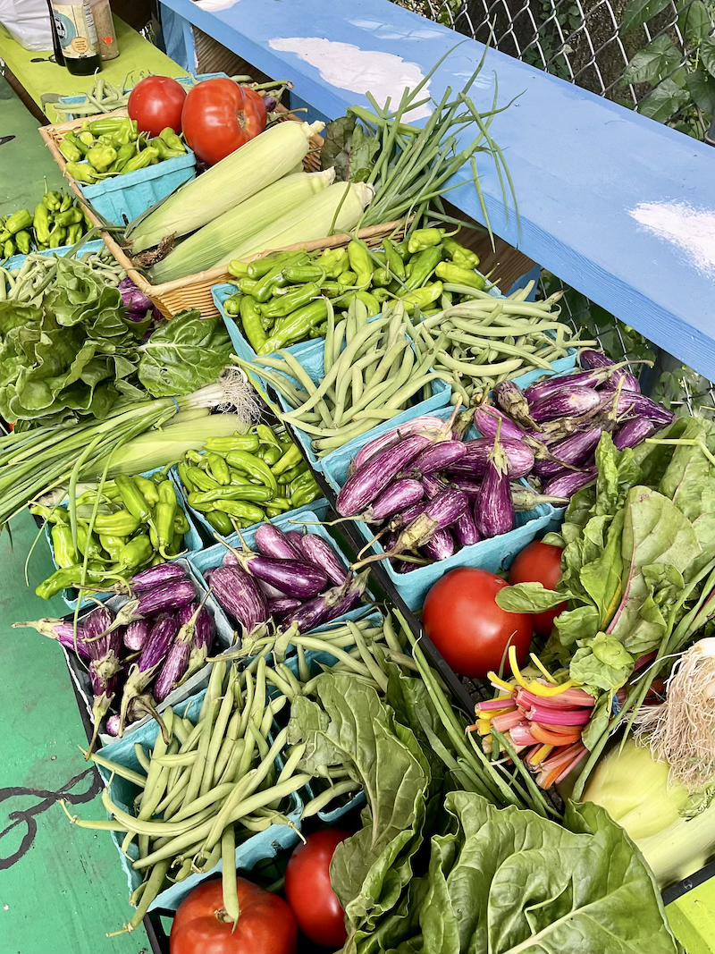 Campaign cover image for Growing Together: Food, Community & Opportunity