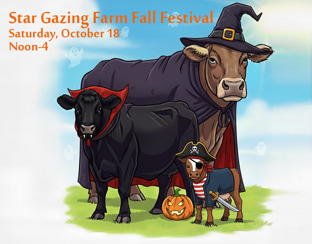 Campaign cover image for Farm Fall Festival!