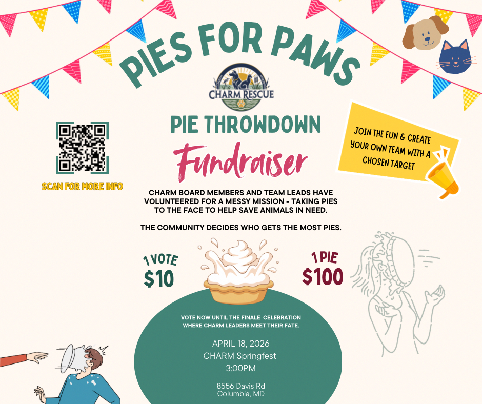 Campaign cover image for Pies for Paws: The CHARM Pie Throwdown