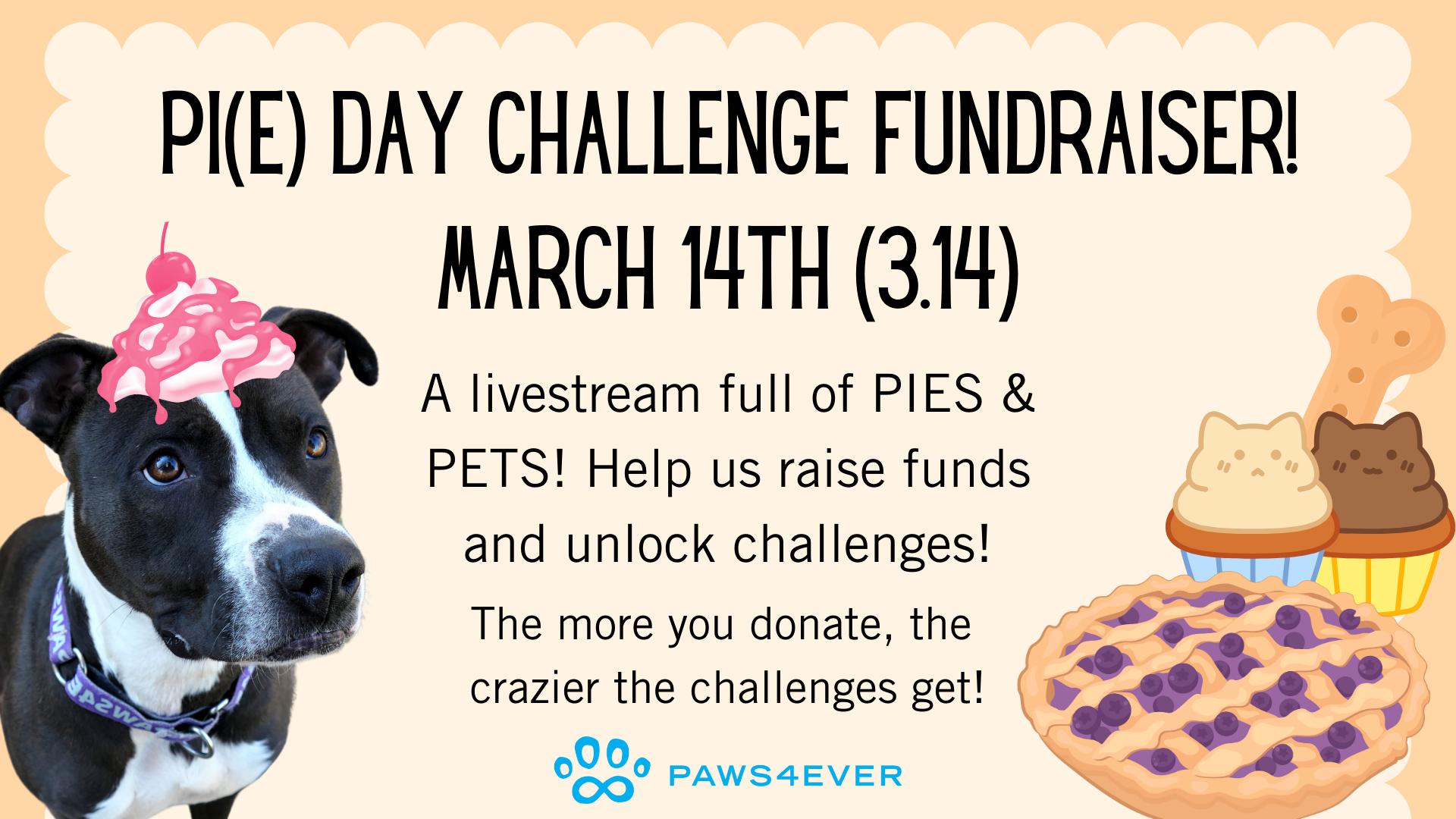 Campaign cover image for Pi(e) Day Challenge Fundraiser!