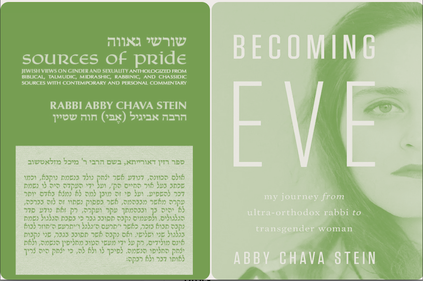 Campaign cover image for Sources of Pride: A Conversation with Rabbi Abby Stein