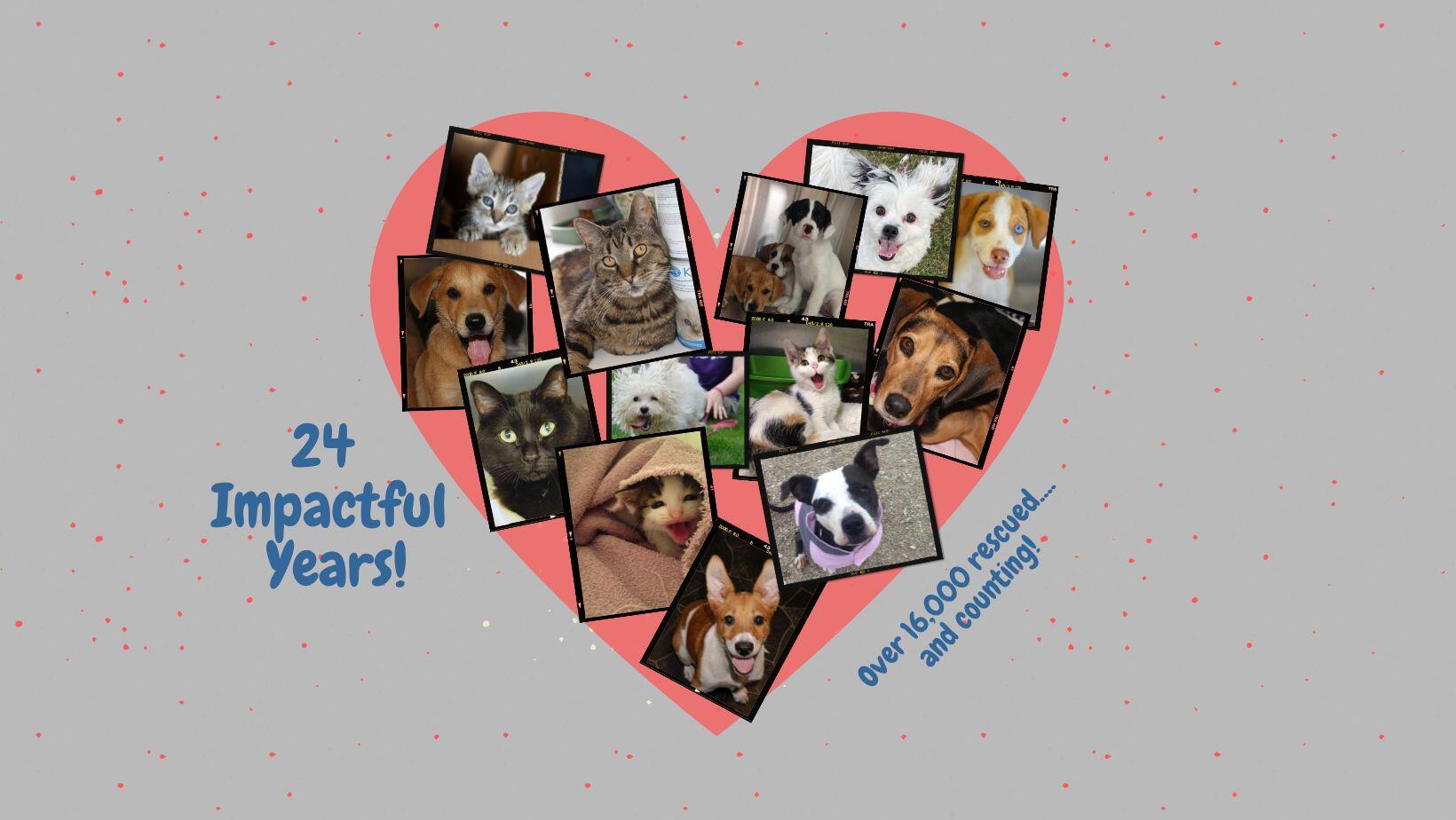 Campaign cover image for Fund June's Monthly Operations