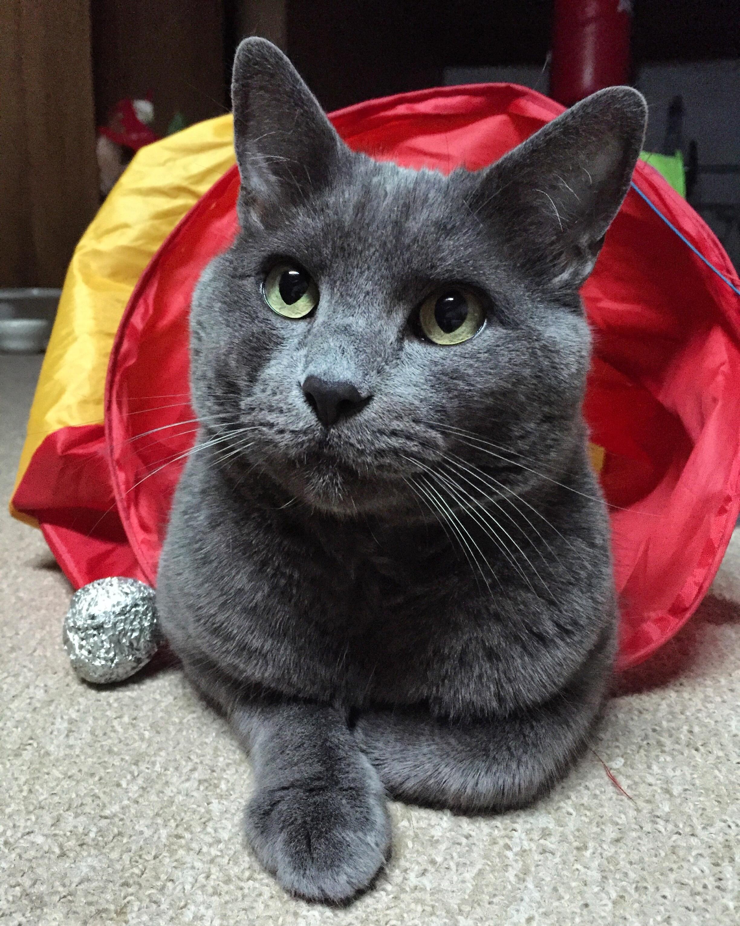 Campaign cover image for On Our Way to 10K