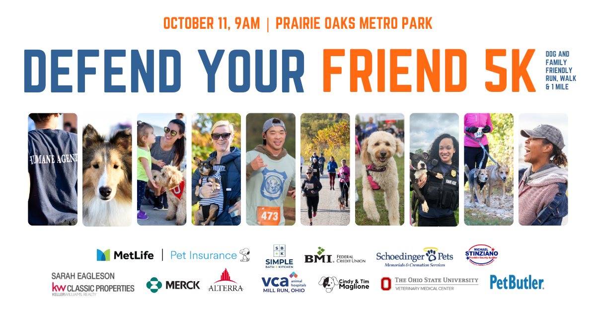 Campaign cover image for The Get Together - Cancelled