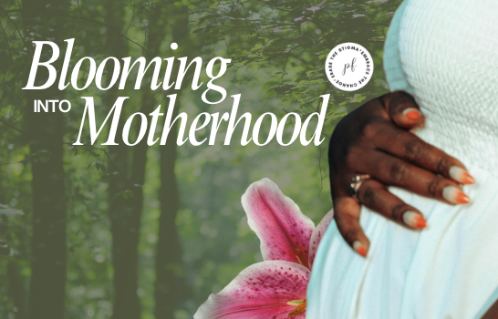 Campaign cover for 🌸 Blooming Into Motherhood