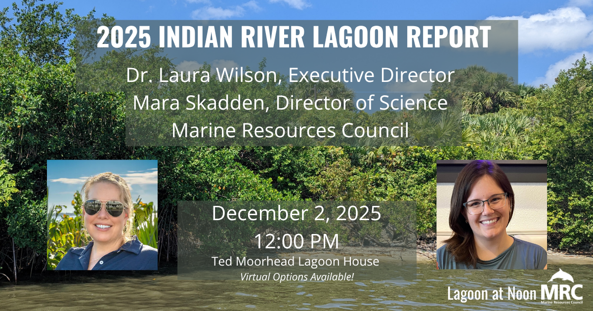 Campaign cover image for Lagoon at Noon - December 2025