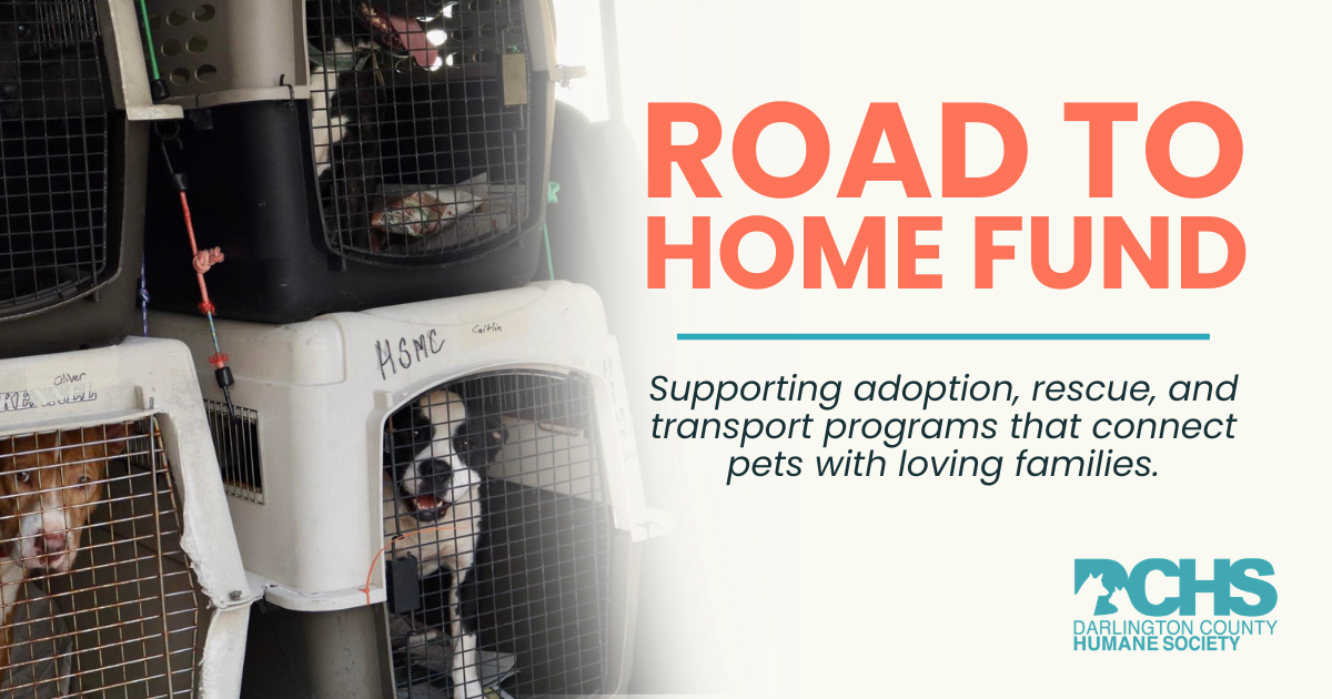 Campaign cover image for Road to Home Fund