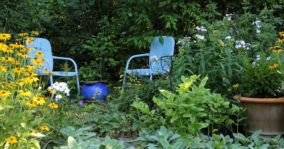 Campaign cover for Nature in My Backyard