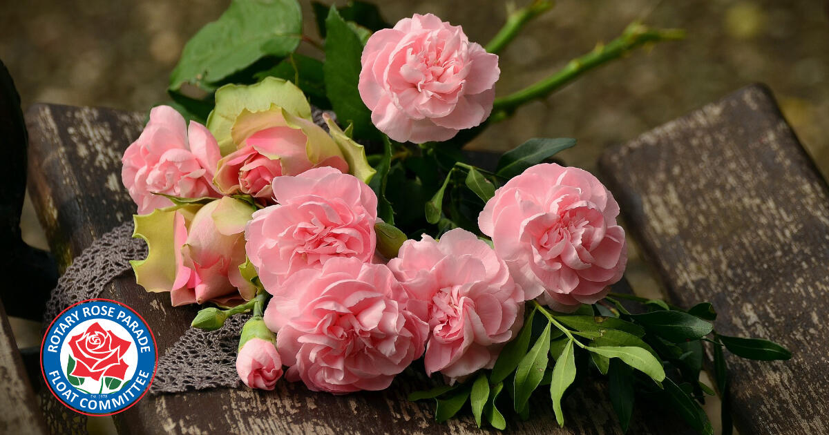 Campaign cover for Dedicate a Rose