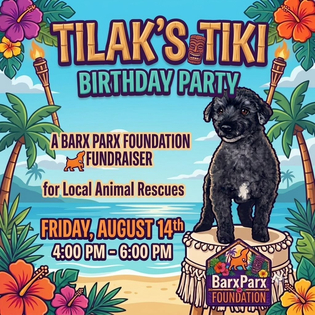 Campaign cover image for Tilak's Tiki B-Day Fundraiser