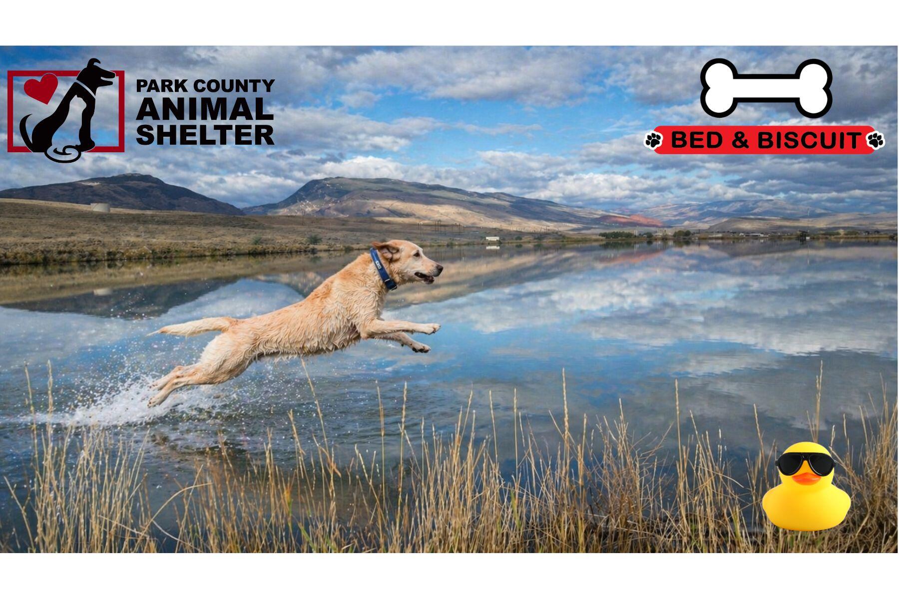 Campaign cover image for 2026 Duck Retrieve