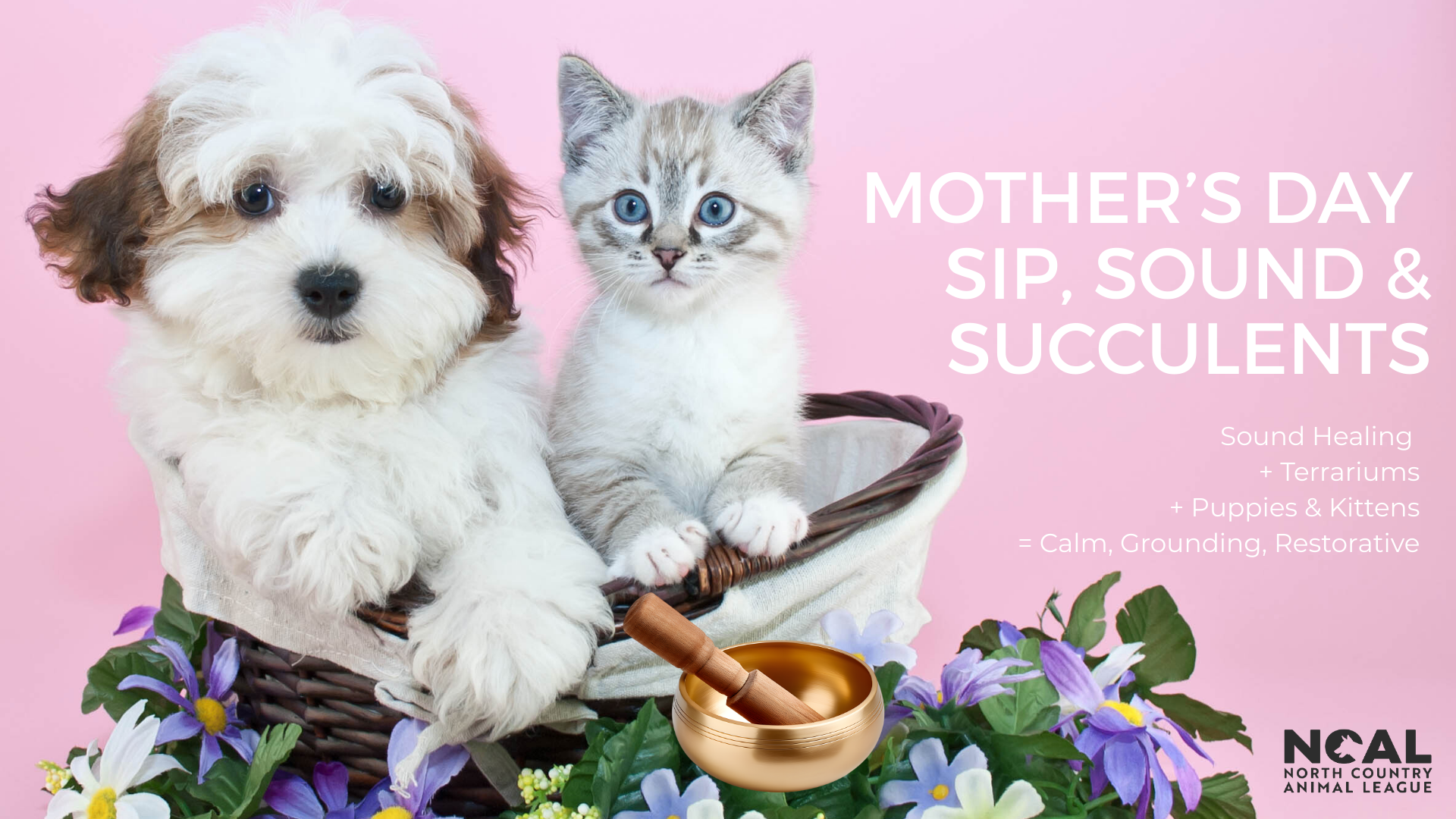 Campaign cover image for Mother's Day Sip, Sounds and Succulents