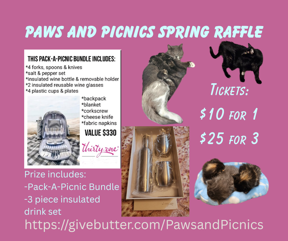 Campaign cover image for Paws and Picnics Spring Raffle