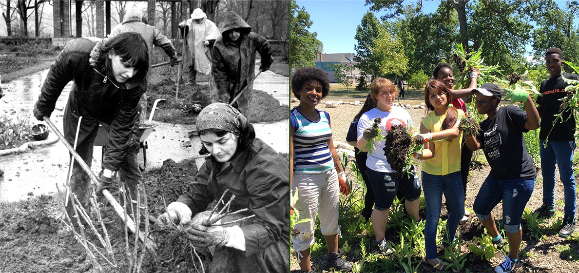 Campaign cover image for 2025 GENERAL