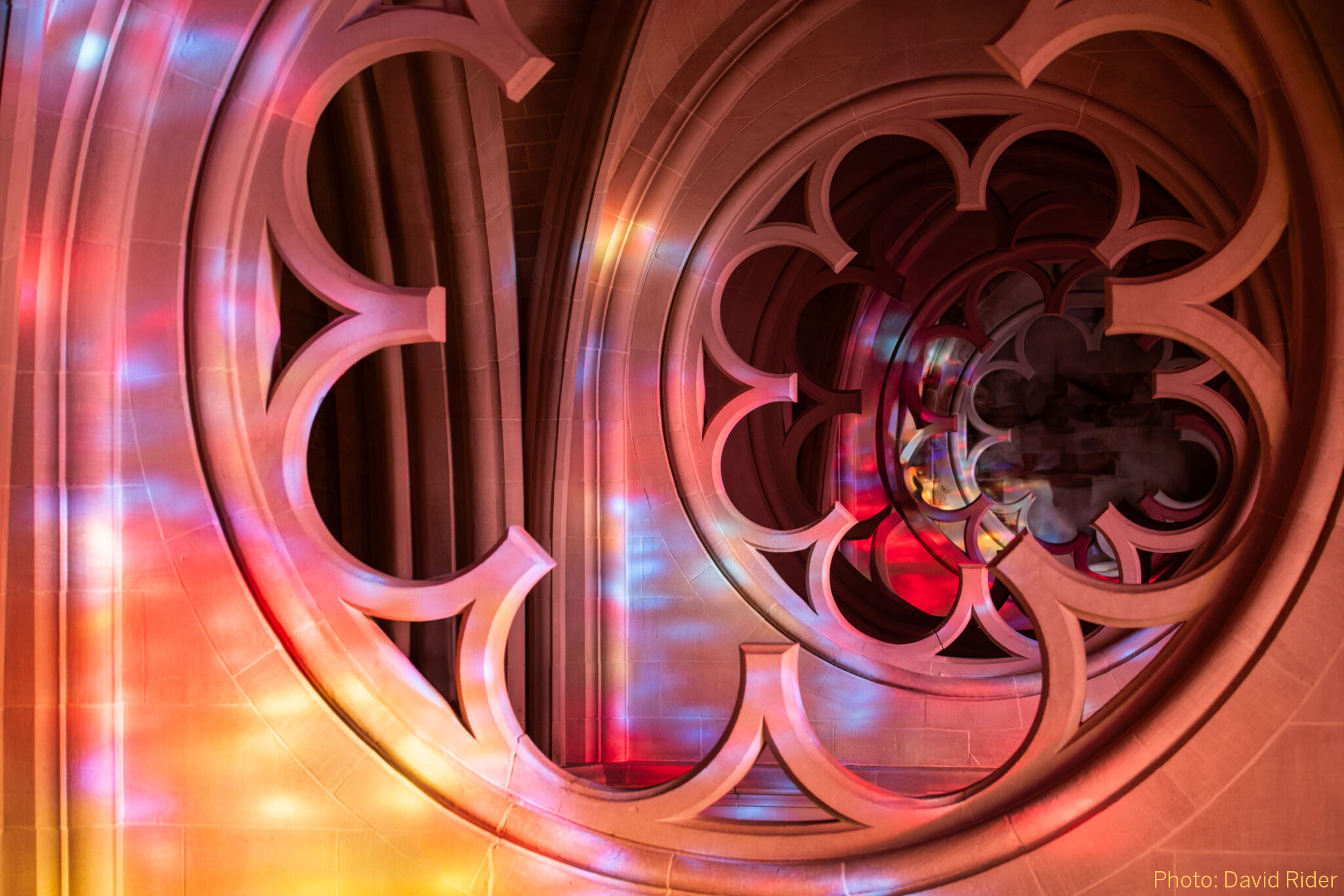 Campaign cover image for 2026 Lucy G. Moses Preservation Awards | Tickets and Program Ads