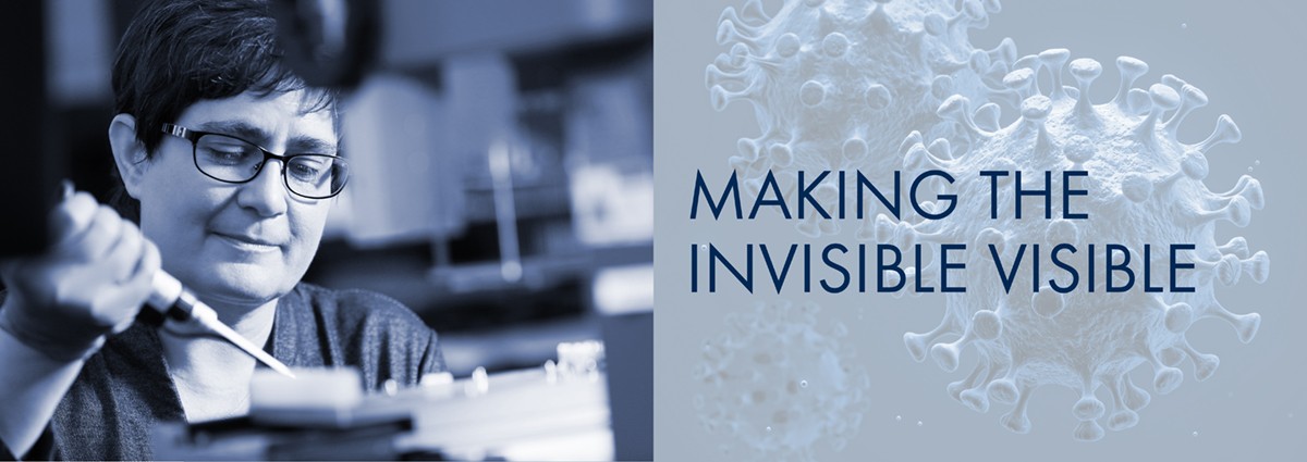 Campaign cover image for HWI SCIENTISTS ARE STUDYING COVID-19