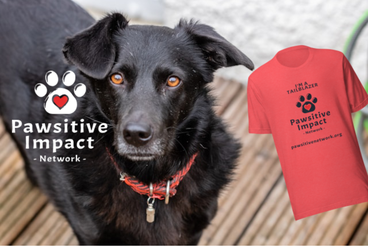 Campaign cover image for General Donations