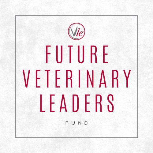 Campaign cover image for Future Veterinary Leaders Fund 2026
