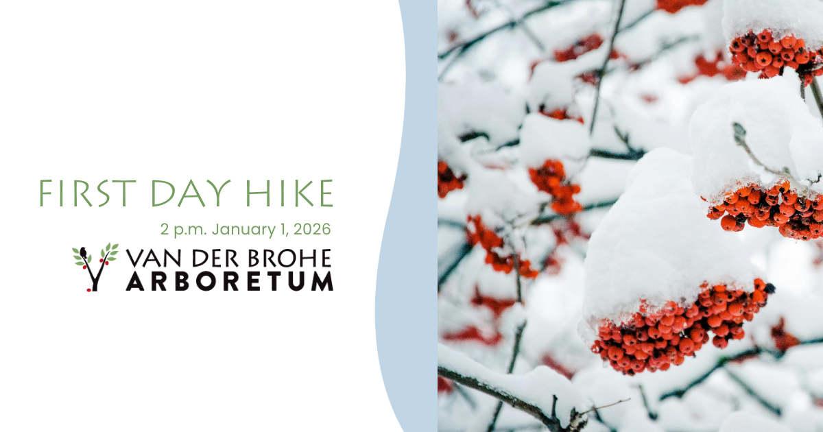 Campaign cover image for First Day Hike