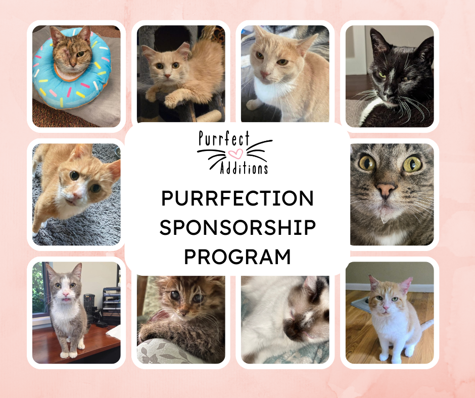 Campaign cover image for Purrfection Sponsorship Program
