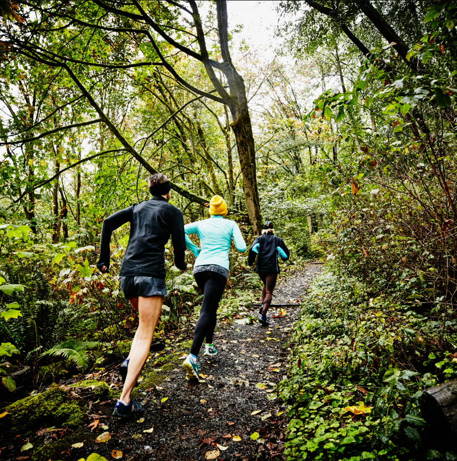 Campaign cover image for Vinegar Hollow Fall 5k Run/Walk