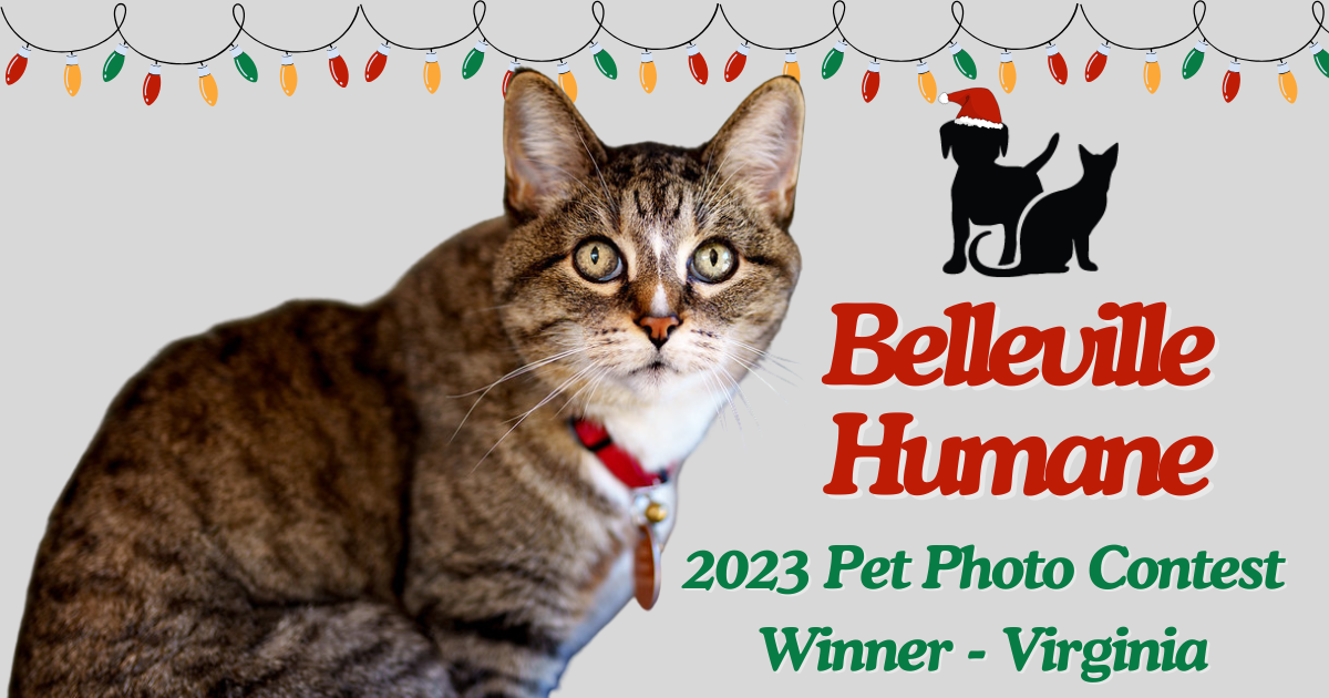 Campaign cover image for BAHS Pet Photo Contest 2024