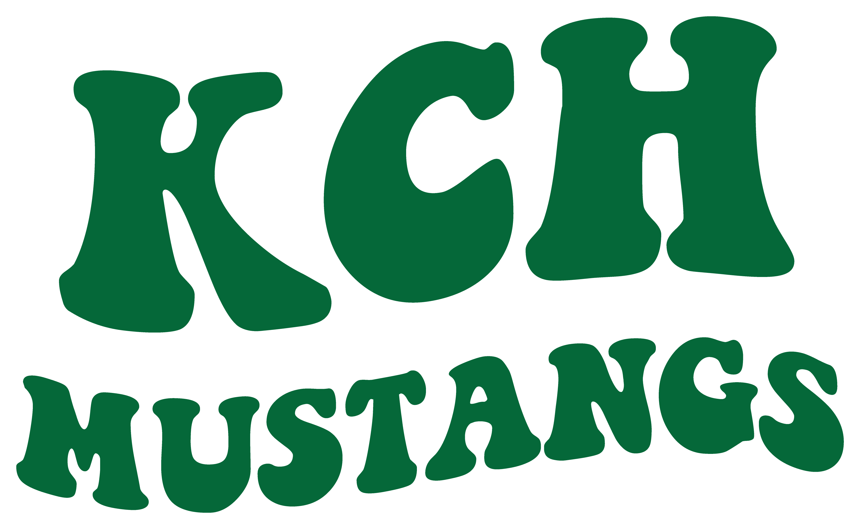 Campaign cover image for KCH PTO General Fund