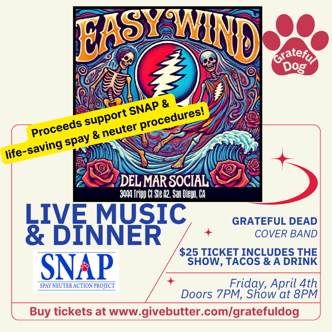 Campaign cover image for Grateful Dog Dinner and Live Music with Easy Wind & SNAP