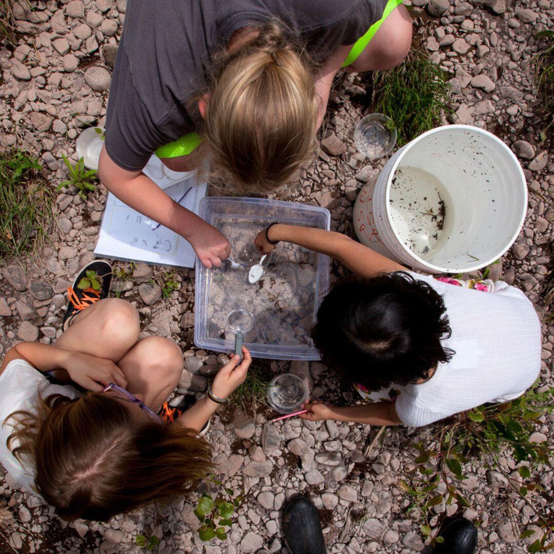 Campaign cover image for Catskills Nature Explorers: Fire Tower Adventure