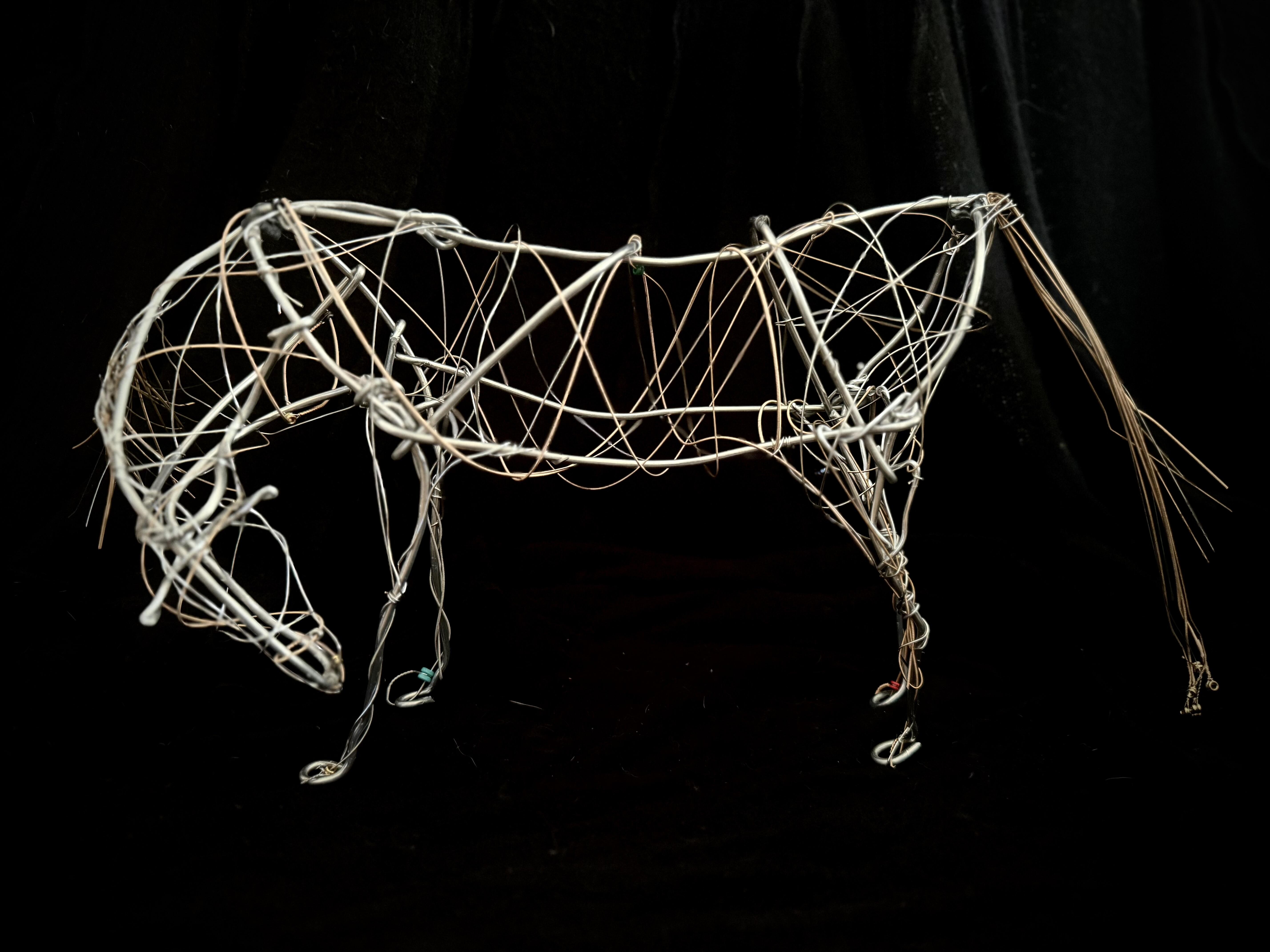 Campaign cover image for Guitar String Horses