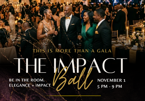 Campaign cover image for The Impact Ball