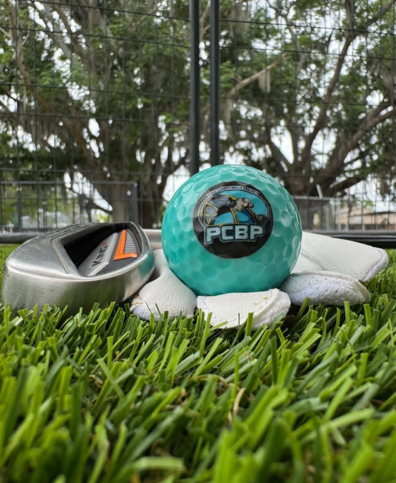 Campaign cover image for 3rd Annual Putts Fore Mutts Online Auction