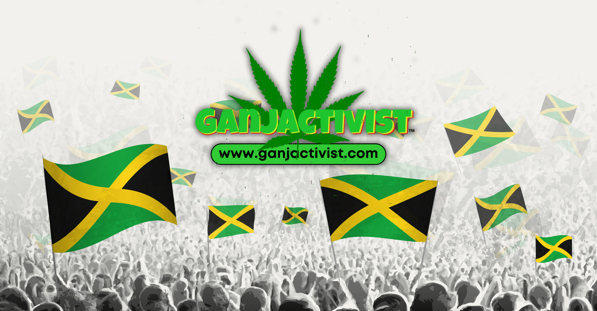 Campaign cover for Build Back Again: From the Roots Up- form