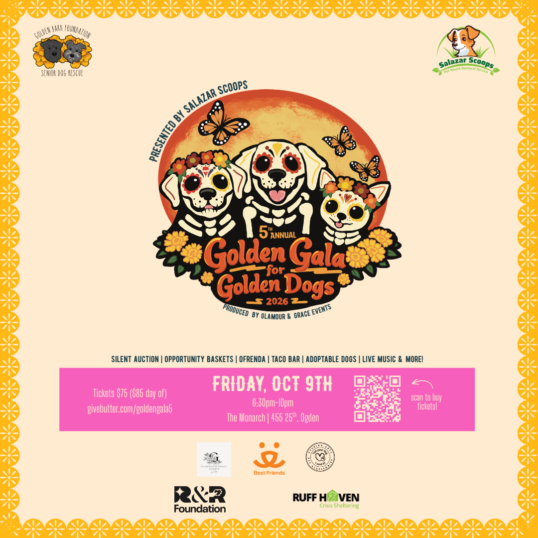 Campaign cover image for 5th Annual Golden Gala