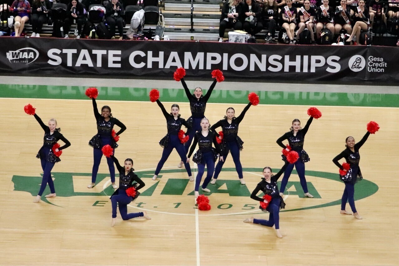 Campaign cover image for Pantherettes 2023-2024