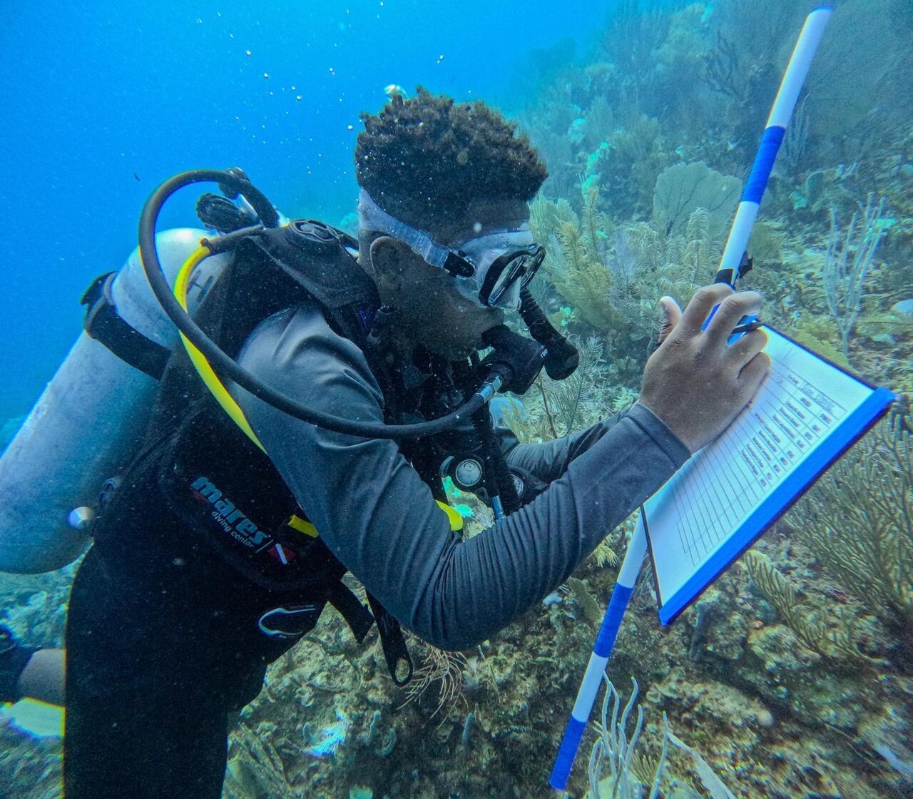 Campaign cover image for Support Syatt's Work