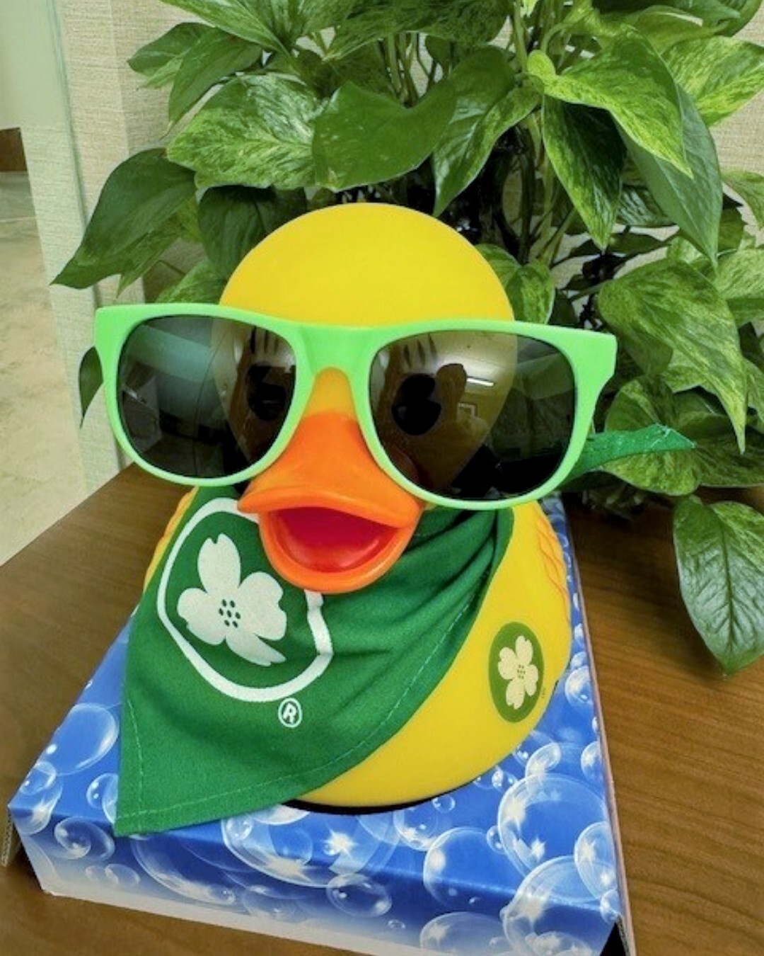 Campaign cover image for Central Bank of Boone County's DUCK-orating Page