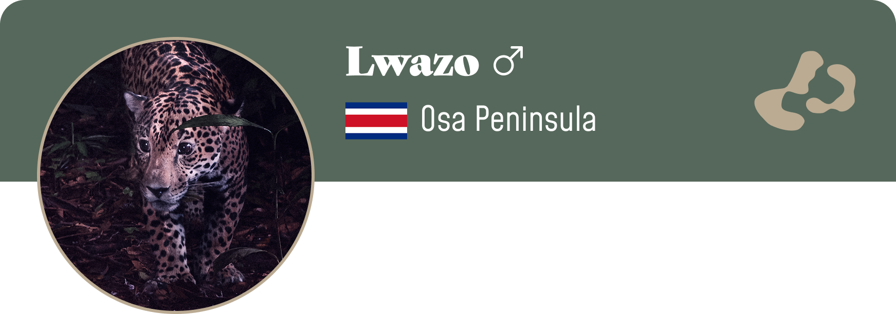 Campaign cover image for Adopt Lwazo