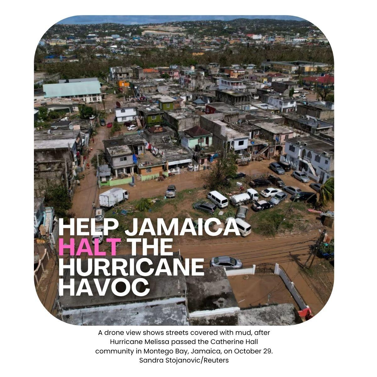 Campaign cover image for Halt Hurricane Havoc in Jamaica