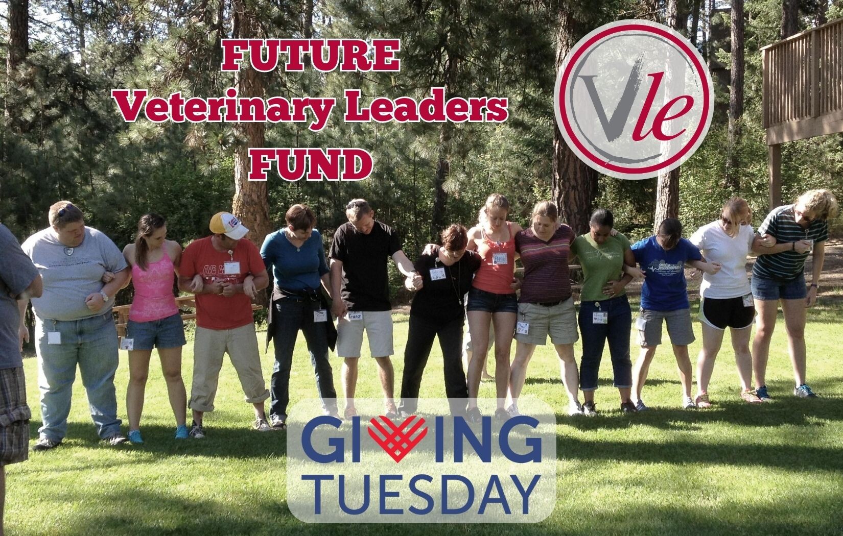 Campaign cover image for Future Veterinary Leaders Fund