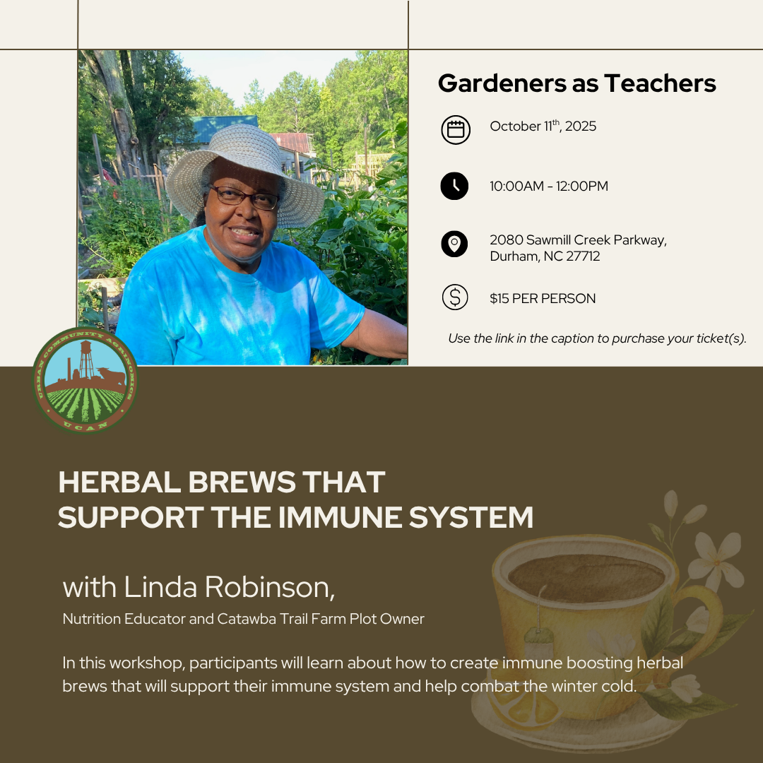 Campaign cover image for Herbals Brews the Support the Immune System
