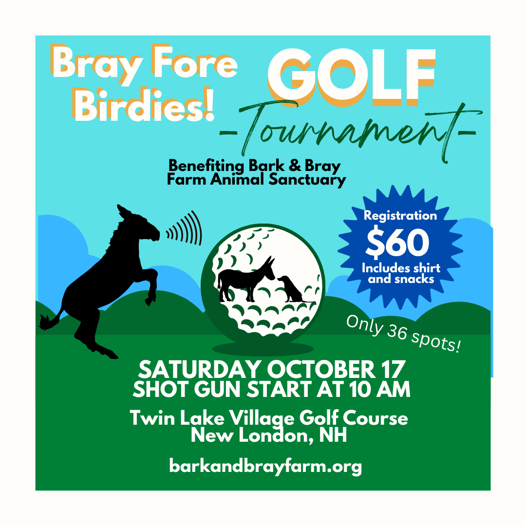 Campaign cover image for 2026 Bray for Birdies