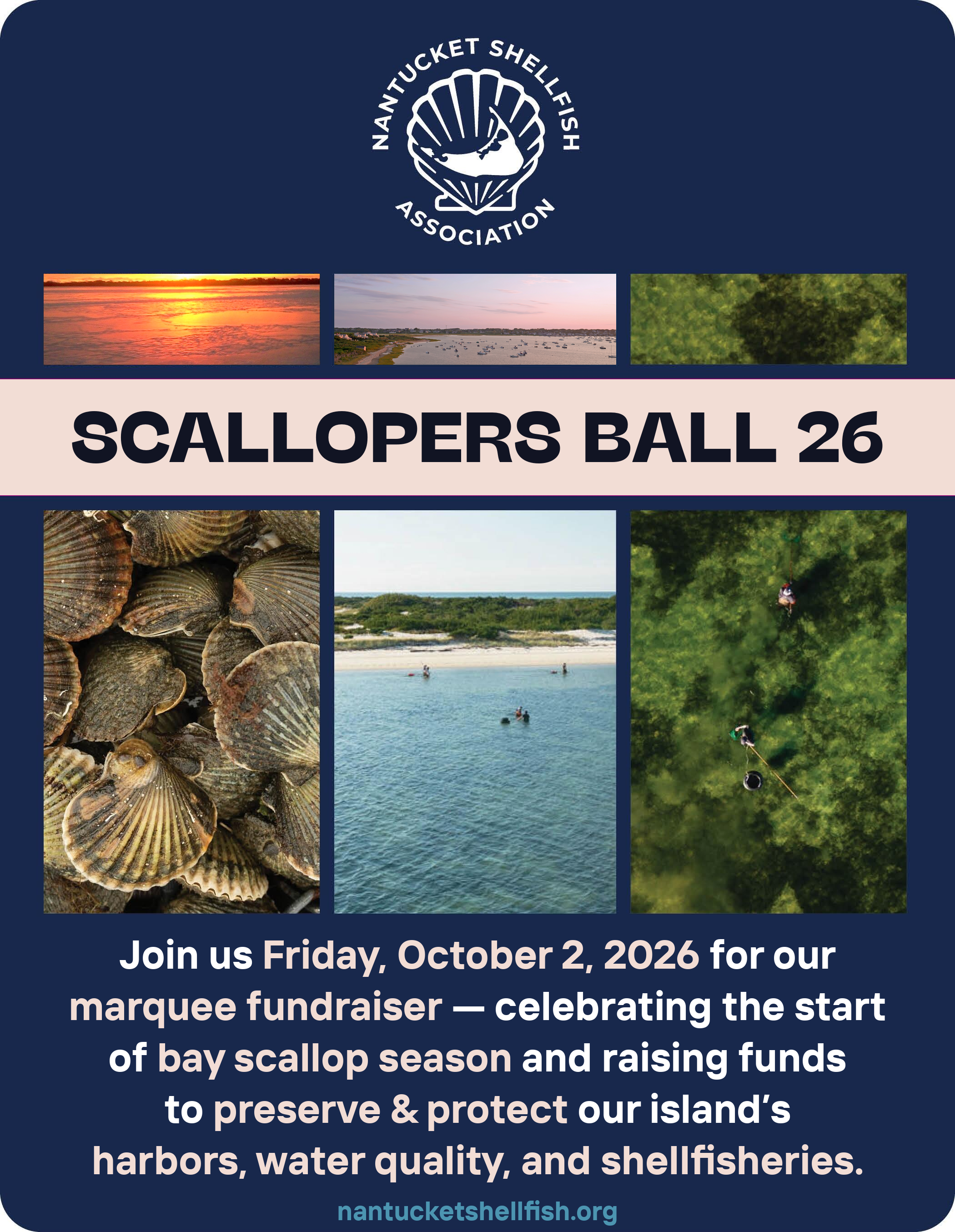 Campaign cover image for NSA 2026 Scallopers Ball + Auction